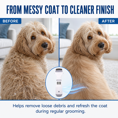 Electric Flea Comb for Pets 🛡️✨Dlosyvo®