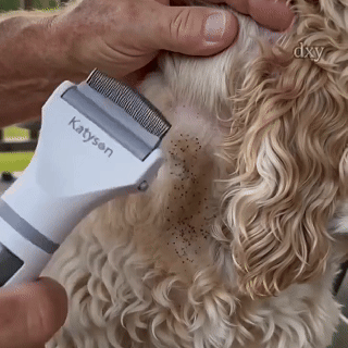 Electric Flea Comb for Pets 🛡️✨Dlosyvo®