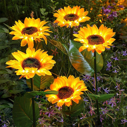 Dlosyvo®🌻Sunflower Solar Garden Stake Led Lights — Buy 2 Get 1 Free