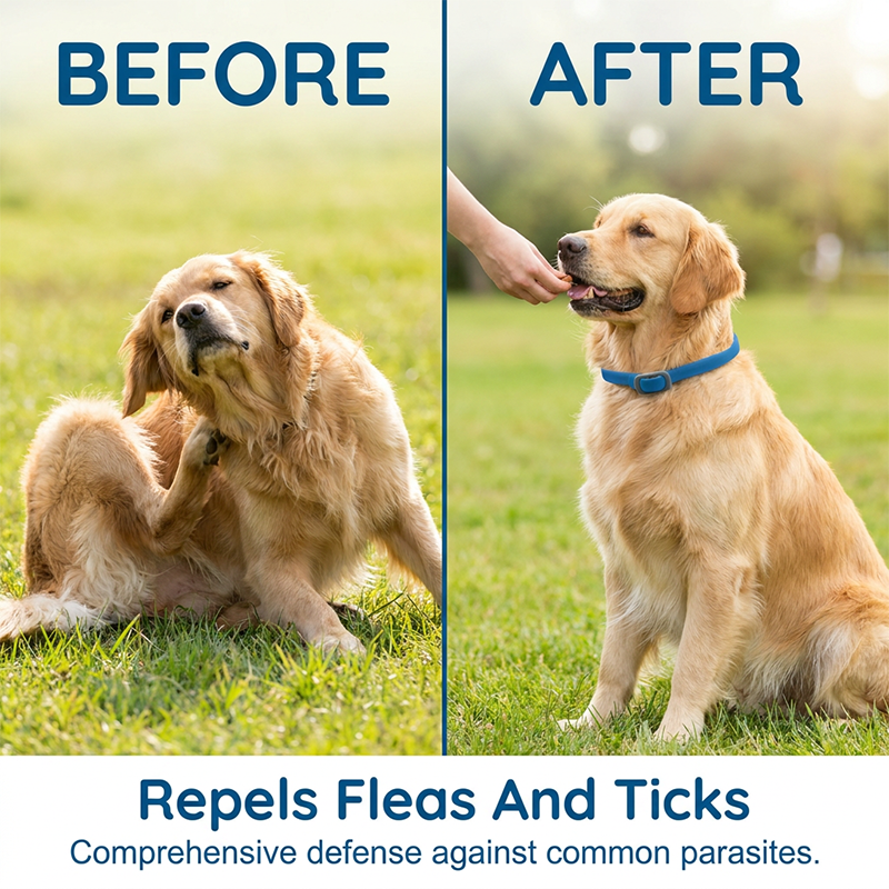 Dlosyvo® 💥Last Day Special Sale 49% OFF🐕Natural Essential Oil Pet Pest Repellent Collar