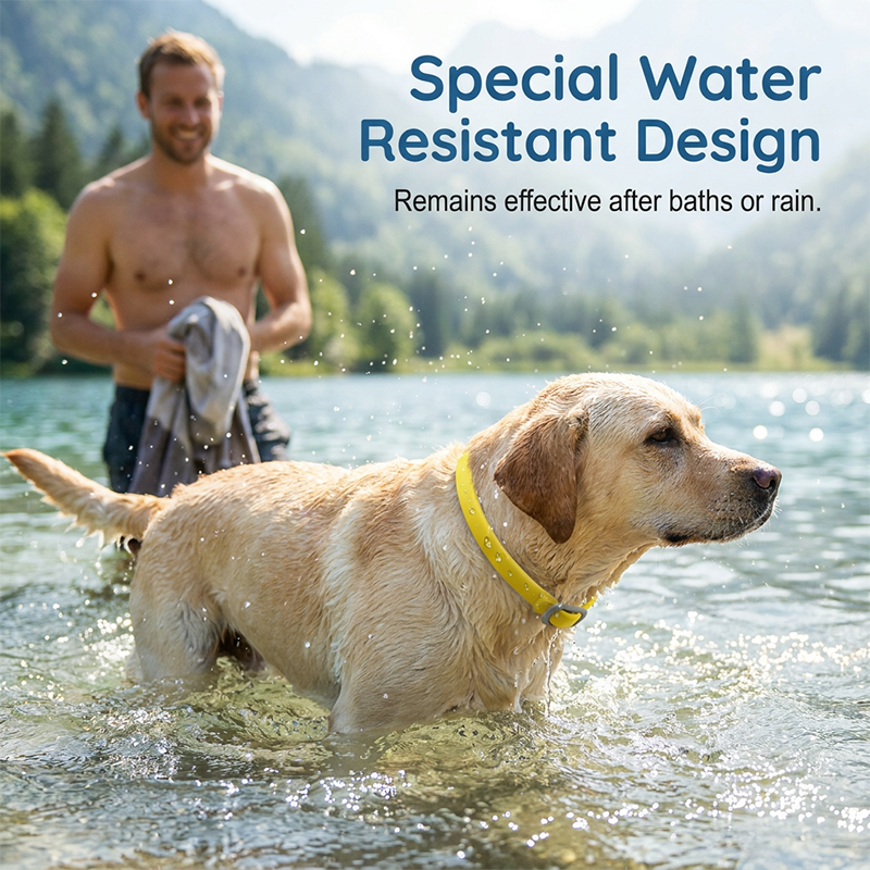 Dlosyvo® 💥Last Day Special Sale 49% OFF🐕Natural Essential Oil Pet Pest Repellent Collar