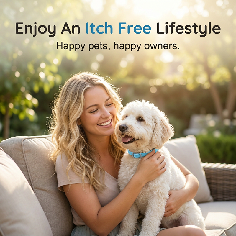 Dlosyvo® 💥Last Day Special Sale 49% OFF🐕Natural Essential Oil Pet Pest Repellent Collar
