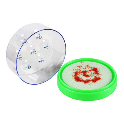 🥳2026 HOT SALE🥳💞50K+ SOLD!🏠🛡️Reusable Non-Electric Fly Trap Dlosyvo®