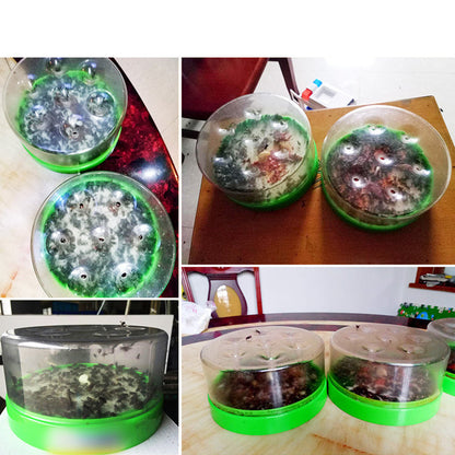 🥳2026 HOT SALE🥳💞50K+ SOLD!🏠🛡️Reusable Non-Electric Fly Trap Dlosyvo®