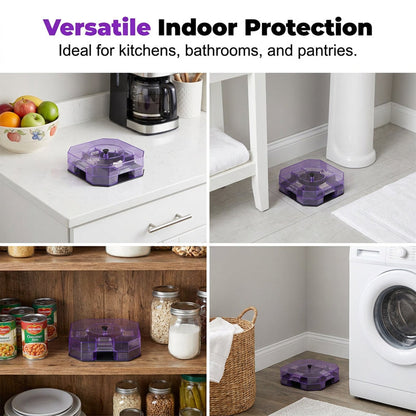⏳Time-Limited Special⏰ Reusable Roach Trap – Physical capture, no toxic sprays. One‑way doors, easy to check & clean. Safe for homes with kids & pets! 🏠✨